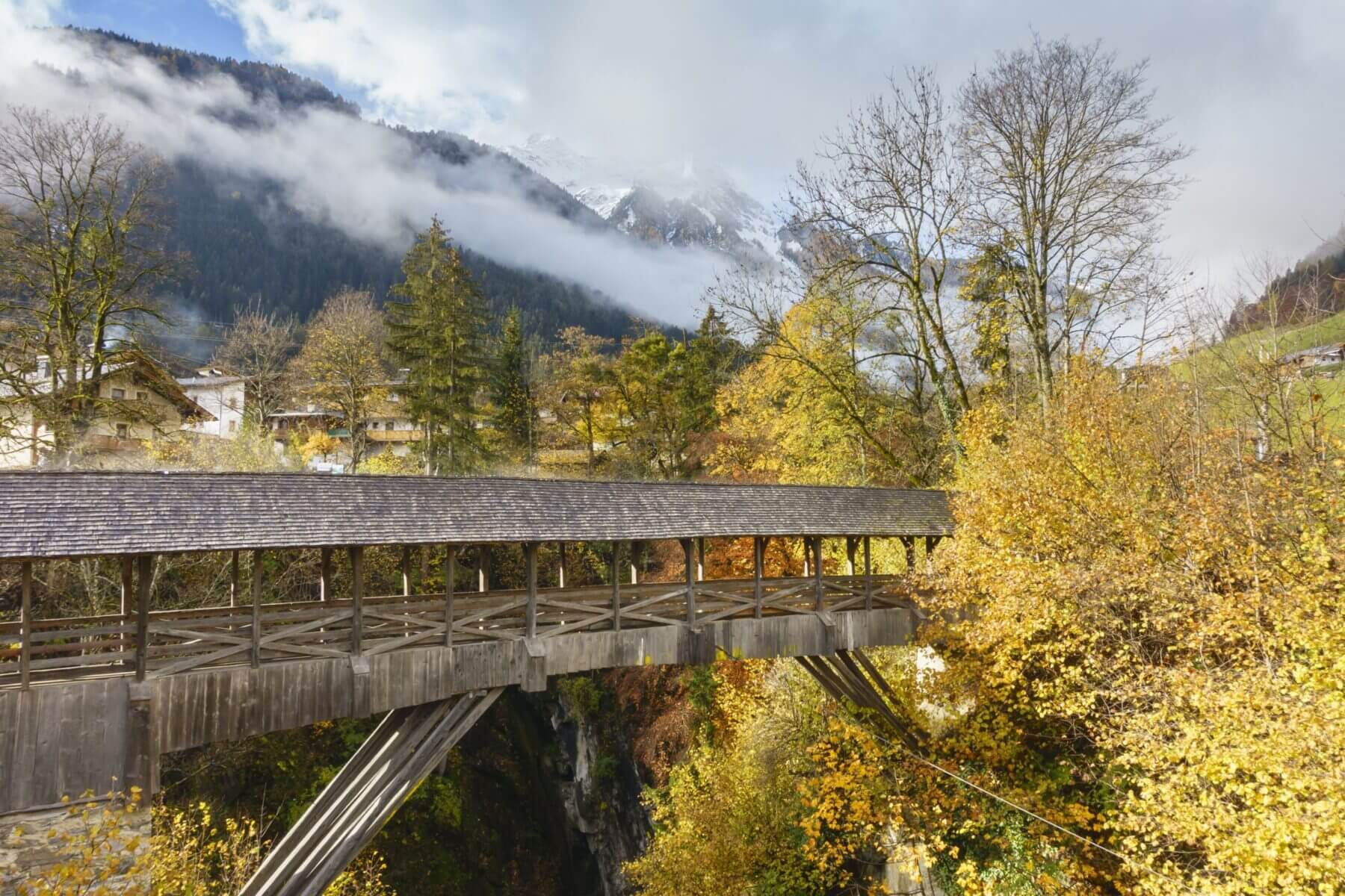 AdobeStock_389011870_1_1800x1200.jpg AdobeStock_389011870_1_1800x1200.jpg