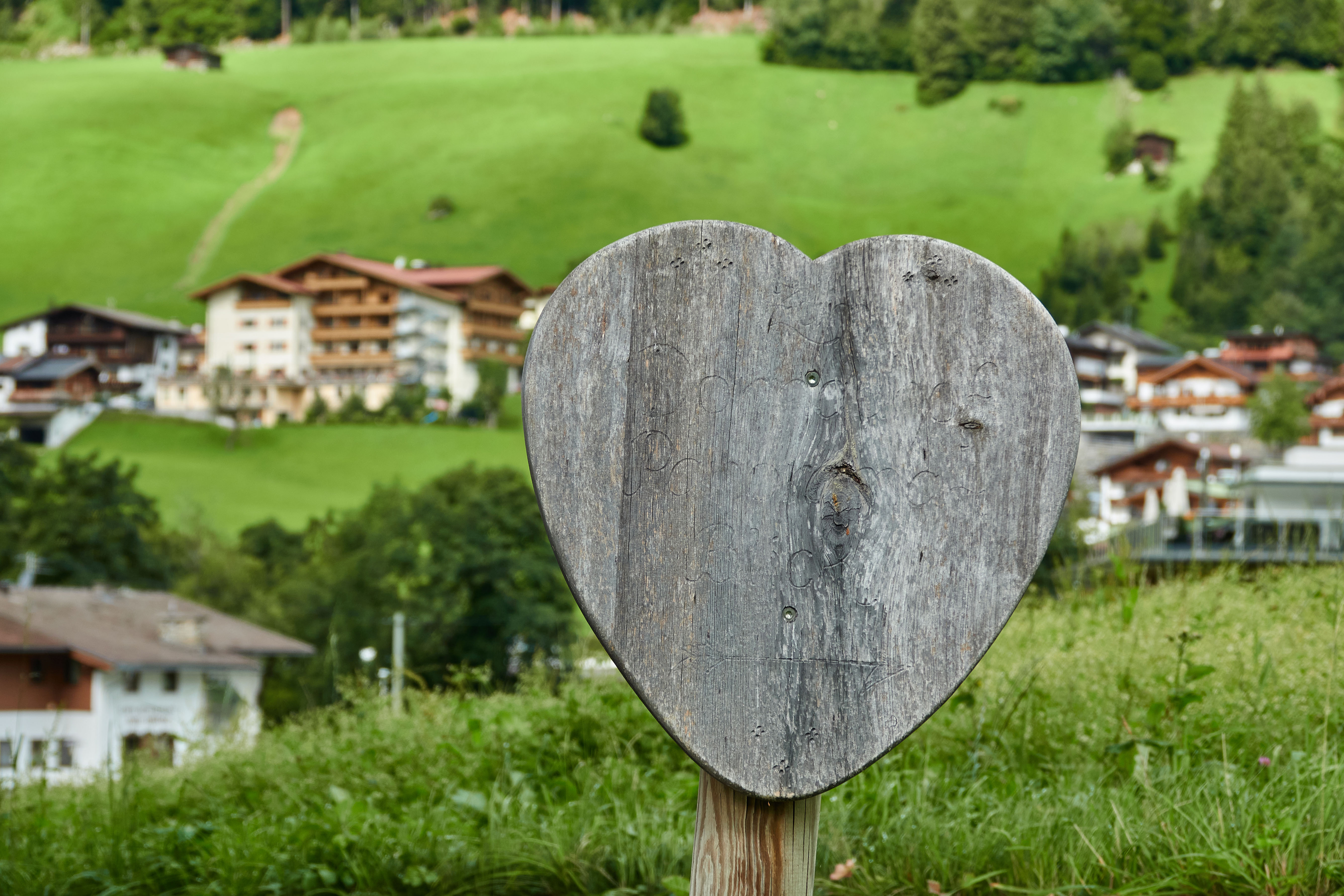 Finkenberg1.jpg Finkenberg1.jpg