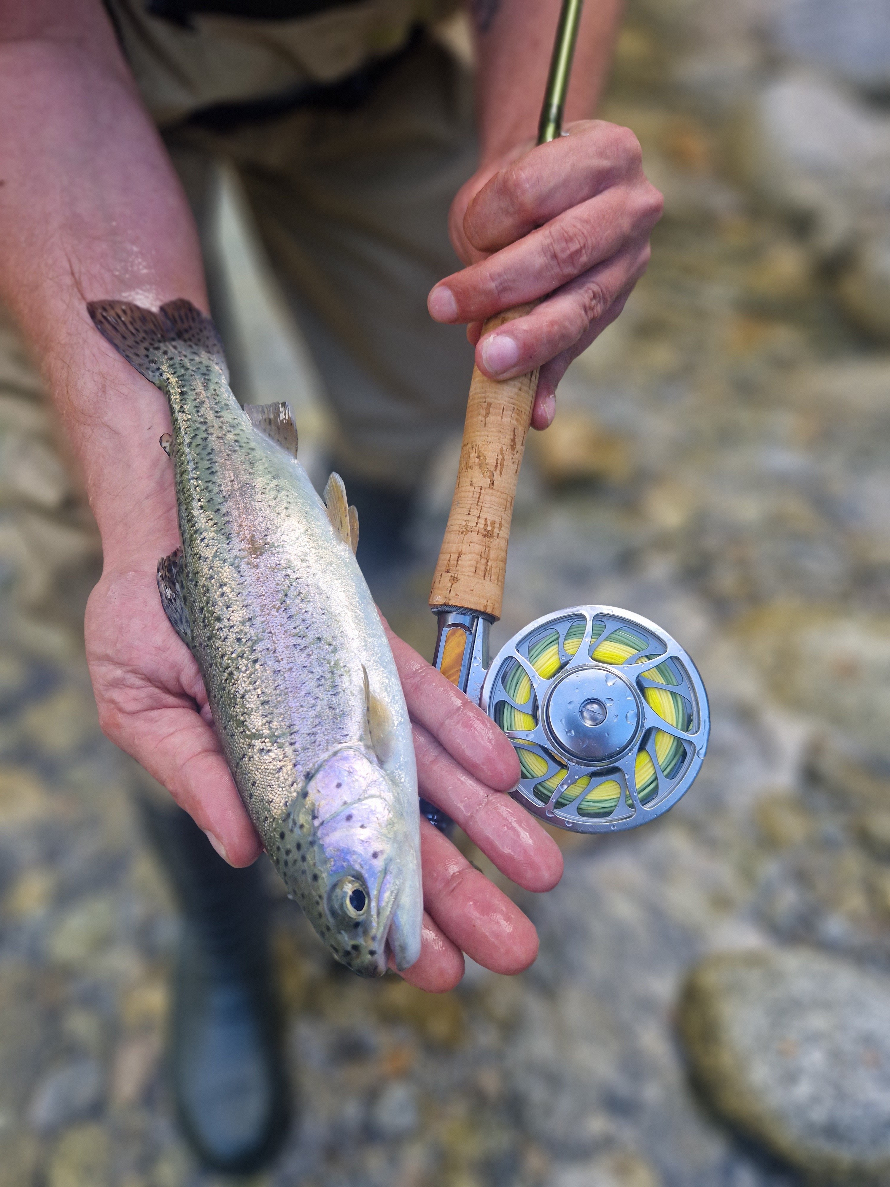 20230917_102844.jpg 20230917_102844.jpg