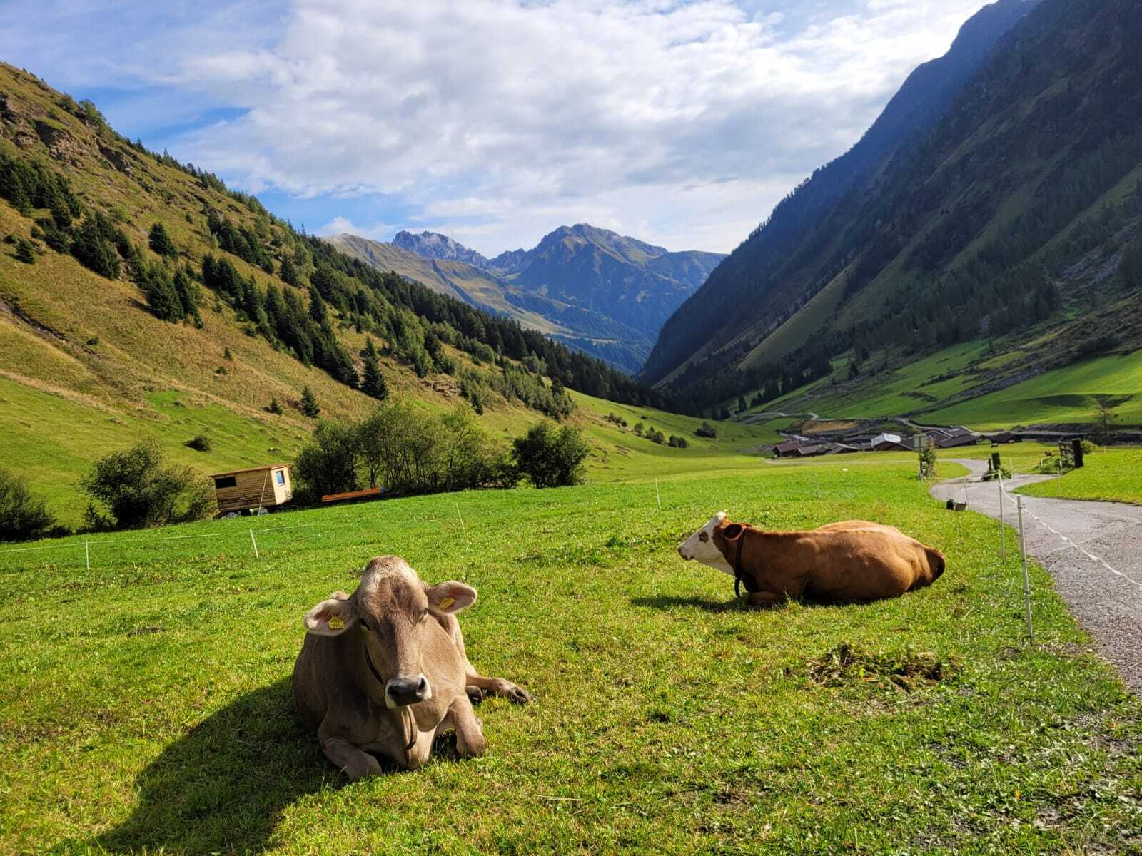 IMG_20230914_WA0076.jpg IMG_20230914_WA0076.jpg